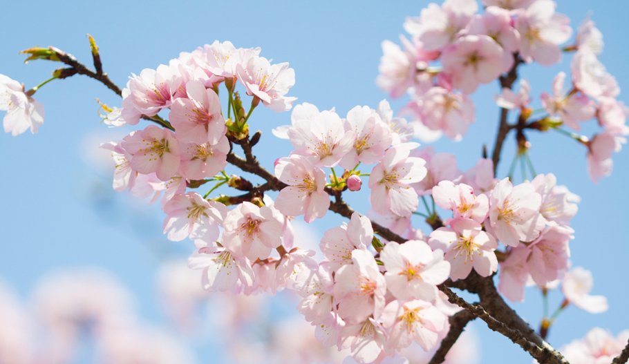 (MCUX{Y}~%7{Z1T(6BT}Z(4.png (MCUX{Y}~%7{Z1T(6BT}Z(4.png