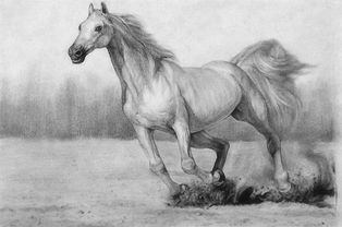 属马的戴金就不好吗,生肖属马女性可以带金项链