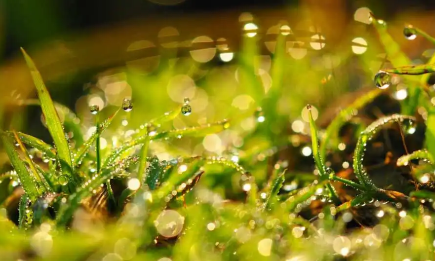 9Z8892JSYWK(K9}P`R1`2U9.png 9Z8892JSYWK(K9}P`R1`2U9.png