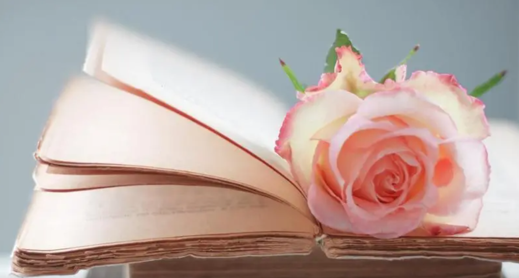 BJJTVY[0RU6ZS7CEUV8CCNH.png BJJTVY[0RU6ZS7CEUV8CCNH.png