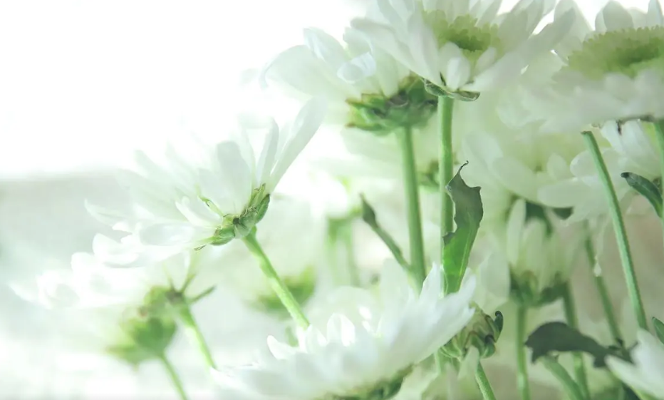 }G{BLZNUFR_@{NN~S0``J}0.png }G{BLZNUFR_@{NN~S0``J}0.png