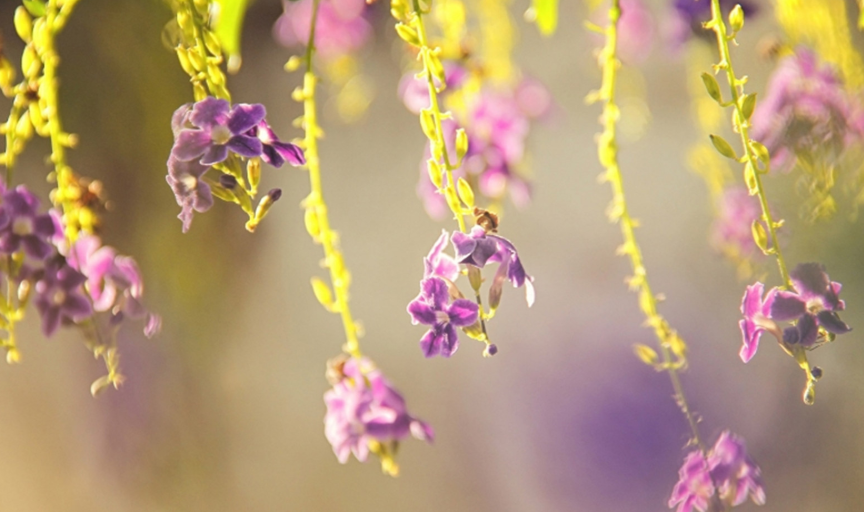 5}KK~X)BLC$H$}47M`P7S`O.png 5}KK~X)BLC$H$}47M`P7S`O.png