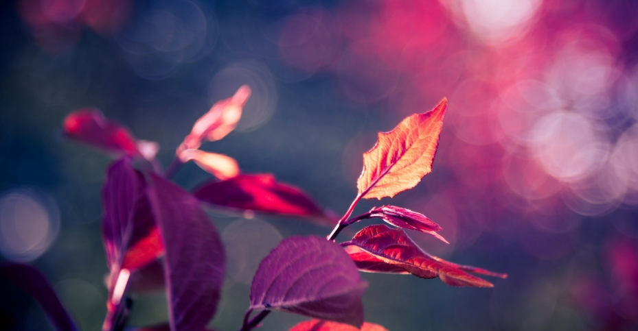 _C7BTWOZ%4T~959J1VZ4P1M.png _C7BTWOZ%4T~959J1VZ4P1M.png