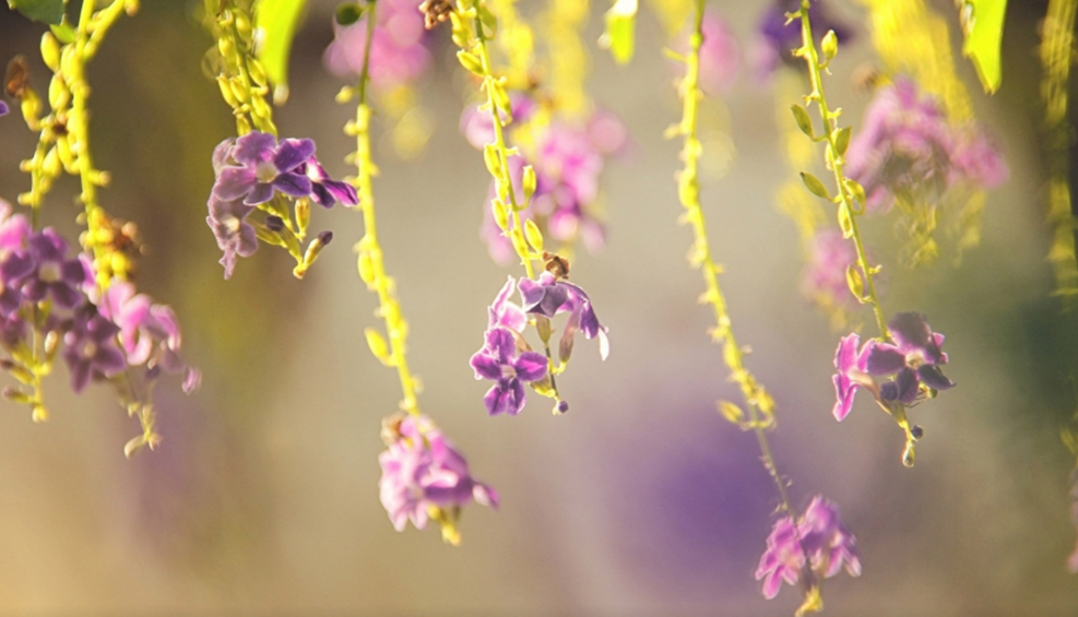 LJ[YL_7GD8NRFVE7NX2C@P4.png LJ[YL_7GD8NRFVE7NX2C@P4.png