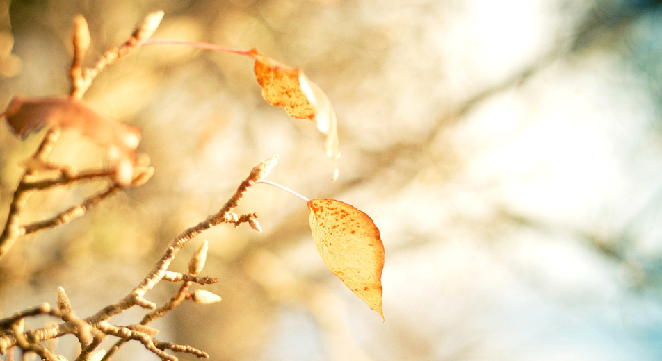 **1TP$NW)D9UA[2}1KLHPL6.png **1TP$NW)D9UA[2}1KLHPL6.png