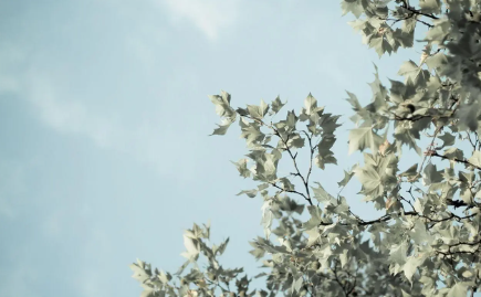 330.png 330.png