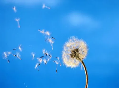 36.png 36.png