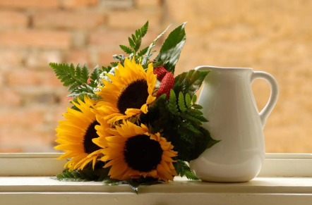 17.png 草字头最旺男孩名字属兔,属兔好听的男孩名字大全