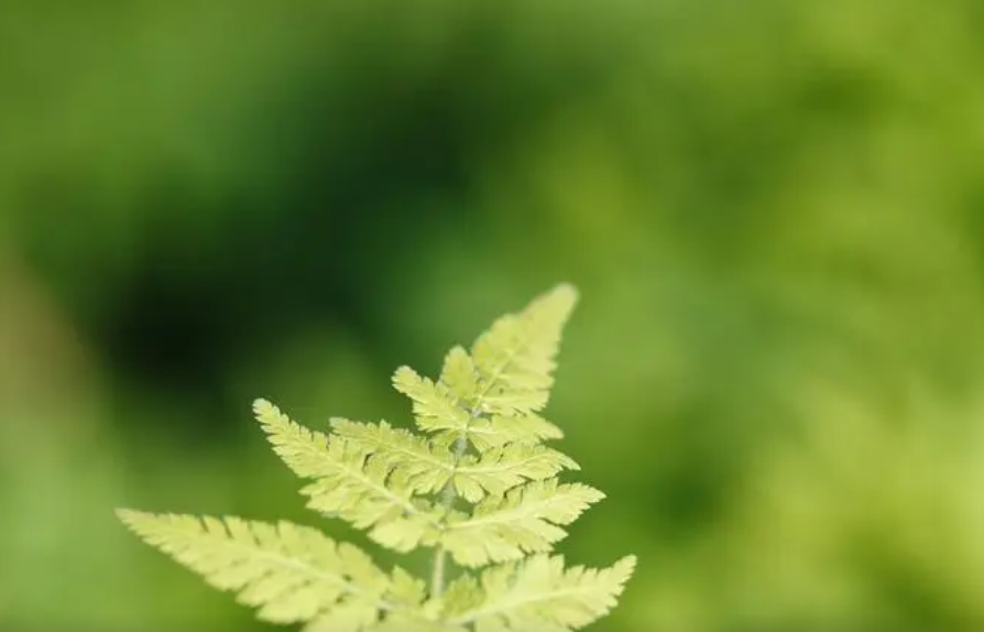 L9[2MUJG~5XOYO[U~~(W%DY.png L9[2MUJG~5XOYO[U~~(W%DY.png