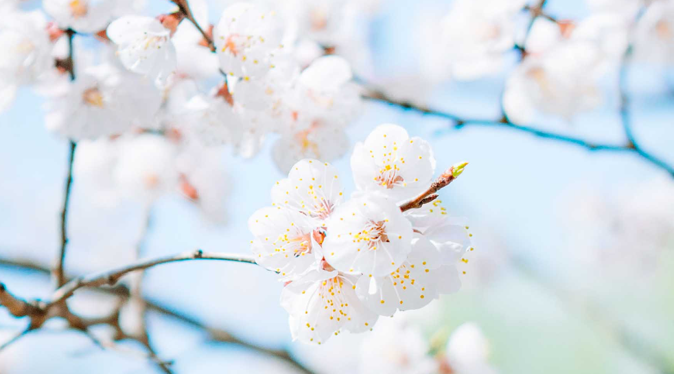 BO6I`2_70GTHOJUO_QM@J(A.png BO6I`2_70GTHOJUO_QM@J(A.png