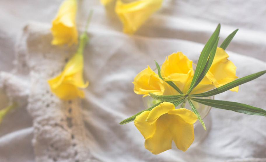 L4K6%7W~7SI{WRW)PV4(DMR.png L4K6%7W~7SI{WRW)PV4(DMR.png