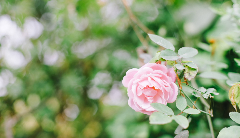 Q(LCJ~4A_(SHOKCQ[L6AJXL.png 发大财的公司名字,诚信聚财的公司名字