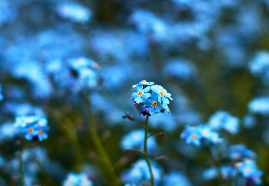 XK0HDD1DU[6H8AQ{52$5K65.png XK0HDD1DU[6H8AQ{52$5K65.png