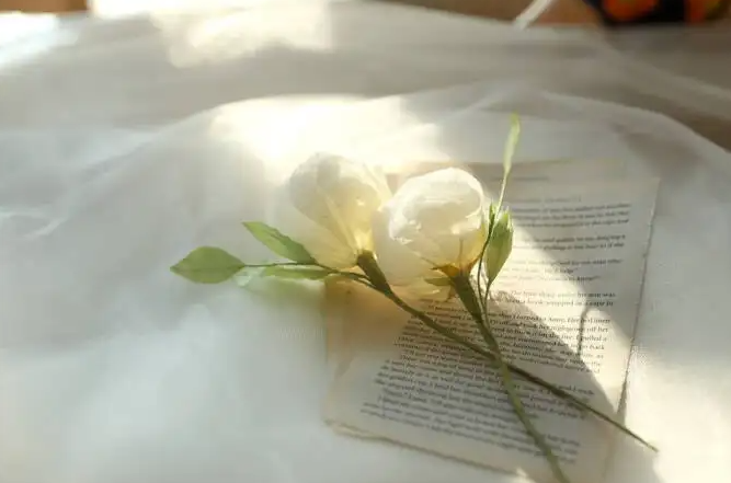 WV_V`Z2{C@7X4@HG3}GR(MT.png WV_V`Z2{C@7X4@HG3}GR(MT.png