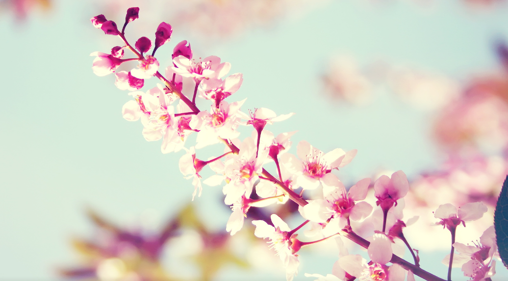 7Z@SB7JV3RTT6IS9AC)GL7E.png 带财运的三个字,三个字大气聚财名字