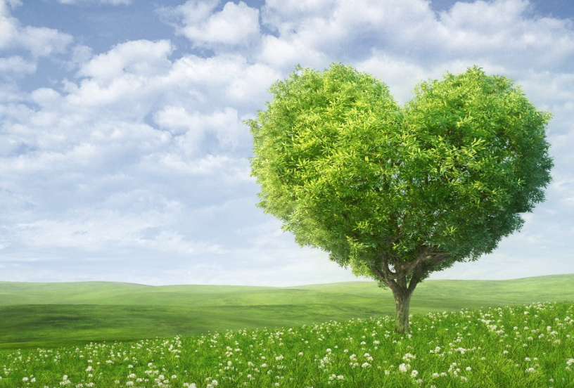 BZ2LGO6DM79KZD@[2{_$$EQ.png BZ2LGO6DM79KZD@[2{_$$EQ.png