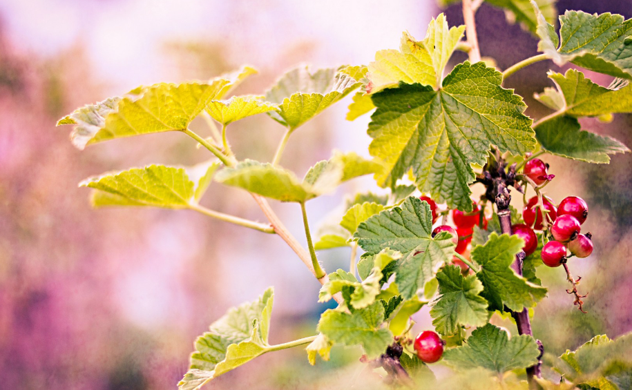 _12)NGNR7[_FIM5~{8M0U4M.png _12)NGNR7[_FIM5~{8M0U4M.png