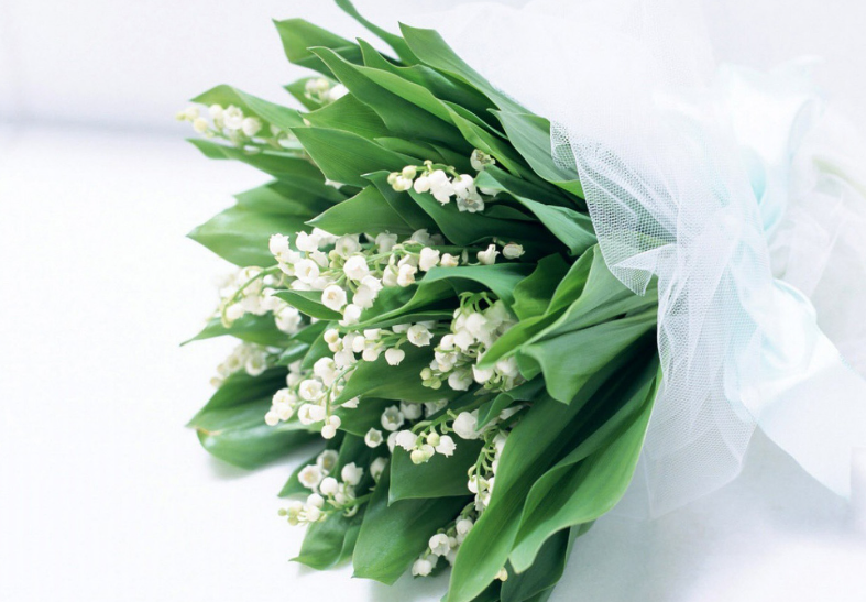 JWGVKW@MR{)7E`S5Q47E@HW.png JWGVKW@MR{)7E`S5Q47E@HW.png