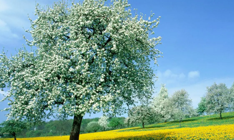 _VOP)~PR~6)QDM3)N1QV`WT.png _VOP)~PR~6)QDM3)N1QV`WT.png