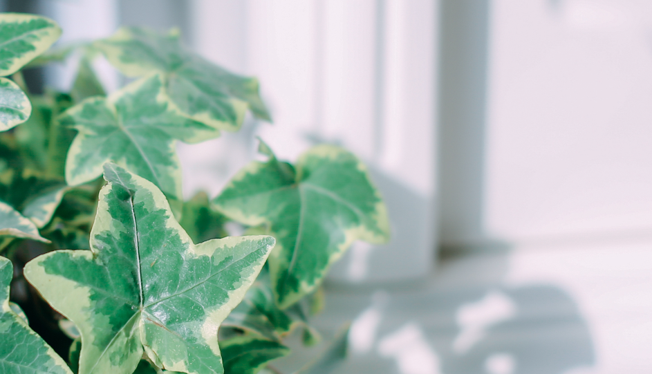 5QLTB@1UTXVJ()B91DC2S~3.png 5QLTB@1UTXVJ()B91DC2S~3.png