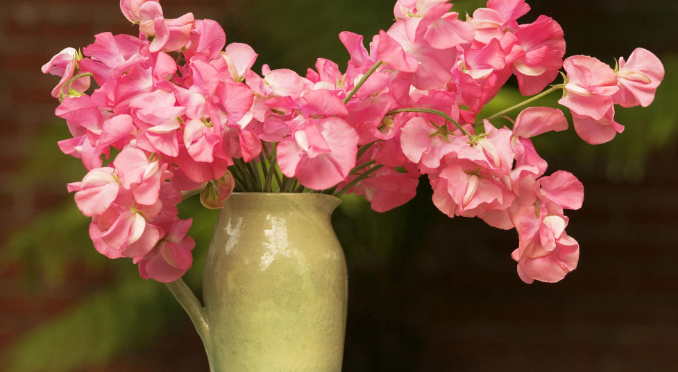 XWF(X`TW}$C{MKBR8A`B9KF.png XWF(X`TW}$C{MKBR8A`B9KF.png