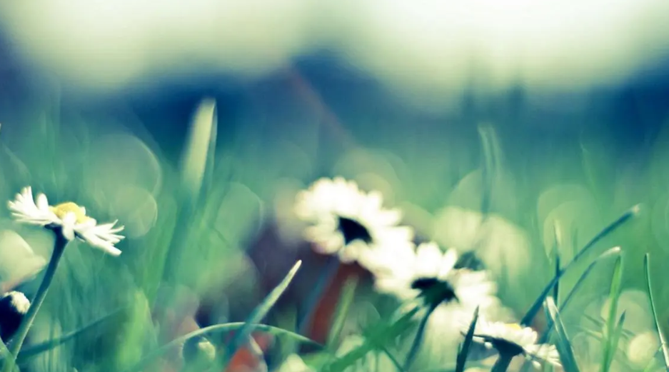 4SX}`PAW6_38APIKD[02Z{E.png 4SX}`PAW6_38APIKD[02Z{E.png