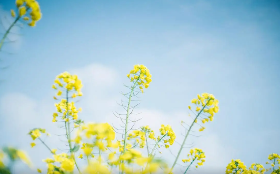 ~H8_SJAMEASI4IQ(UO4I8[7.png ~H8_SJAMEASI4IQ(UO4I8[7.png