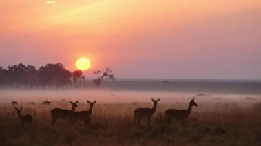 风景169.png 风景169.png