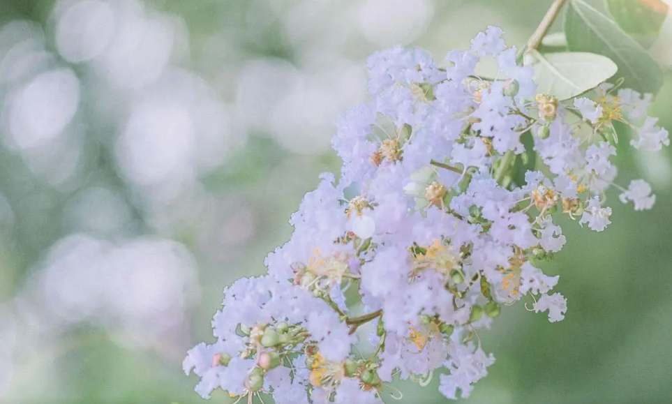 6FSJ~7@FA)GX34SS0X%F5W1.png 6FSJ~7@FA)GX34SS0X%F5W1.png