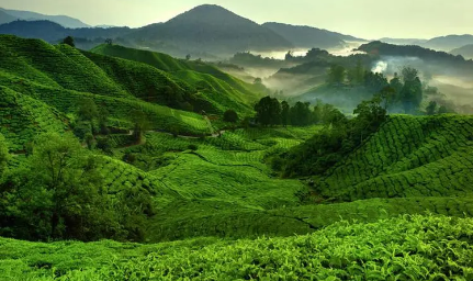 风景33.png 风景33.png