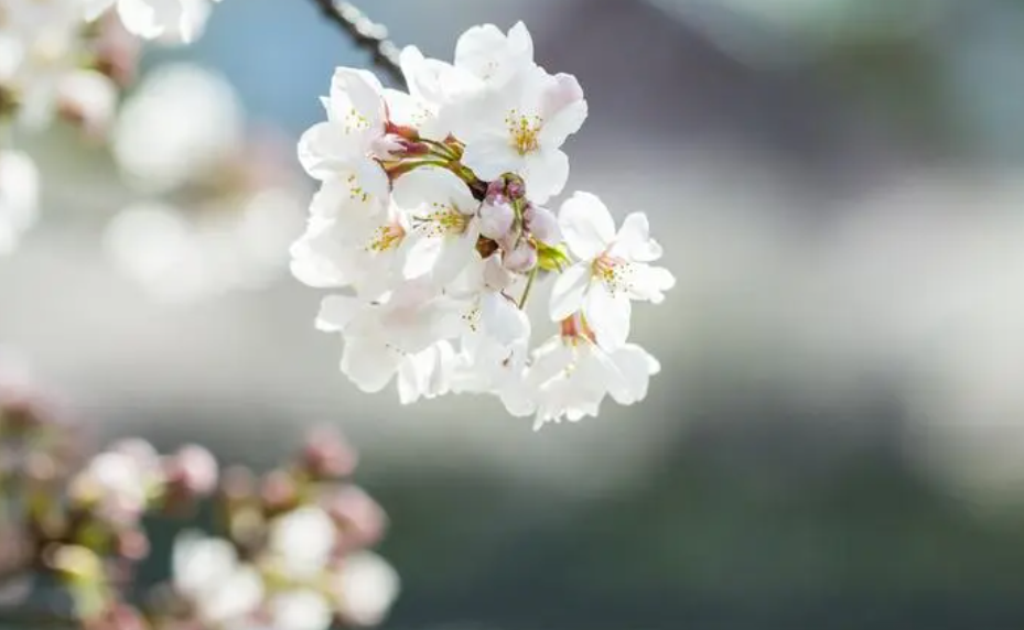 }$[O_9MRF4`9M8VVWF(@AUV.png }$[O_9MRF4`9M8VVWF(@AUV.png