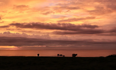 风景24.png 风景24.png