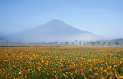 风景41.png 风景41.png