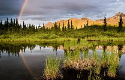 风景42.png 风景42.png