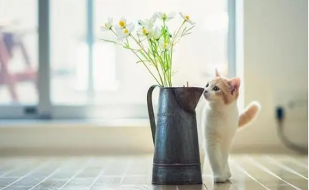 10.png 李姓男孩有内涵的名字,李宝宝名字大全男孩