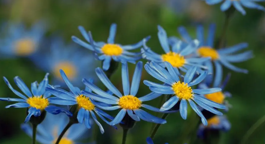 11.png 李姓男孩名字好听气质,李姓简单大气男孩名字