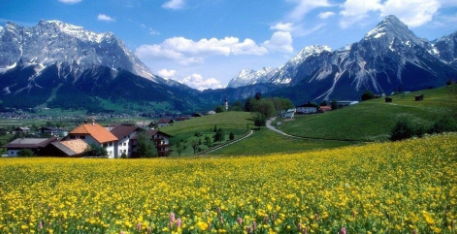 284.png 兔年杨姓男孩最吉利名字,杨姓男宝宝名字大全