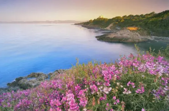 风景30.png 风景30.png