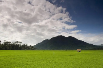 风景29.png 风景29.png