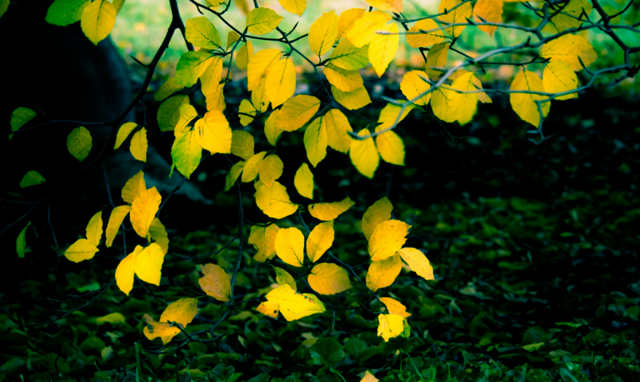 [D094(6@8K27T(`6`8_Y37W.png [D094(6@8K27T(`6`8_Y37W.png