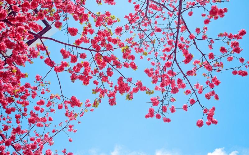 da39e08c92b6ab00657d676c01f8fb10.jpeg da39e08c92b6ab00657d676c01f8fb10.jpeg