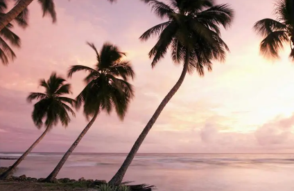 风景94.png 风景94.png