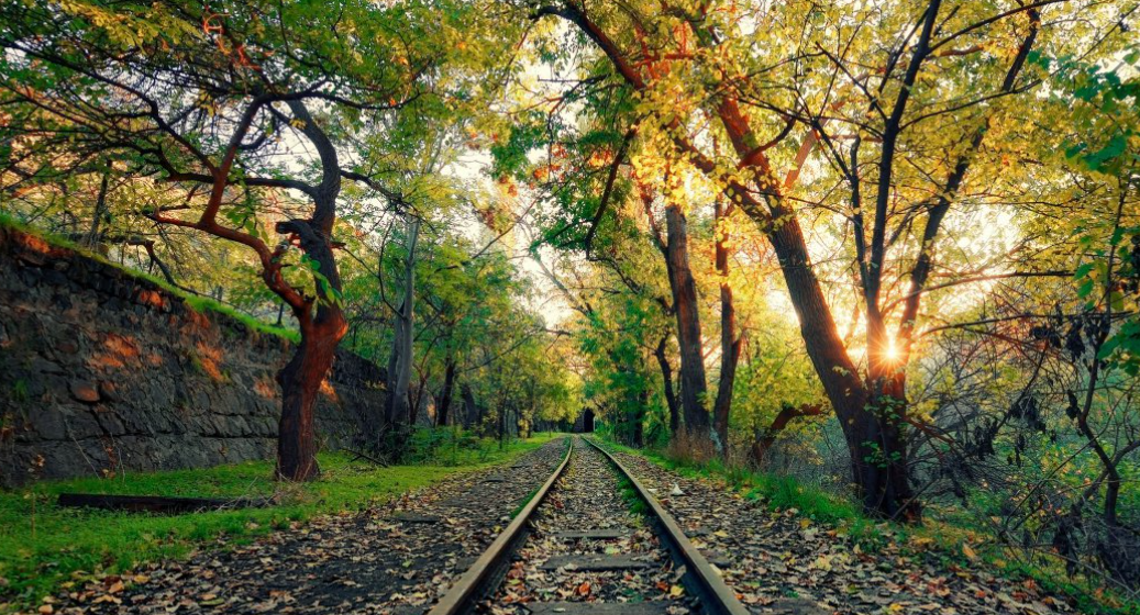 U{VT_8DE%%NM9Y@`4J(VV37.png U{VT_8DE%%NM9Y@`4J(VV37.png