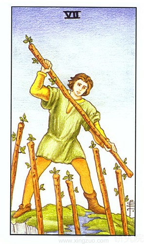 塔罗牌占卜权杖七的意义解读