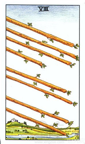 塔罗牌权杖八是什么意思解读