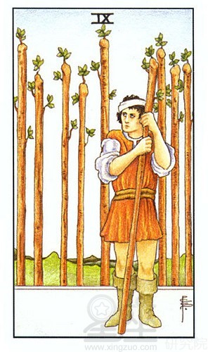 塔罗牌权杖九代表什么意义解读