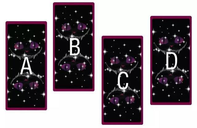 塔罗牌测你这辈子注定会拥有什么?