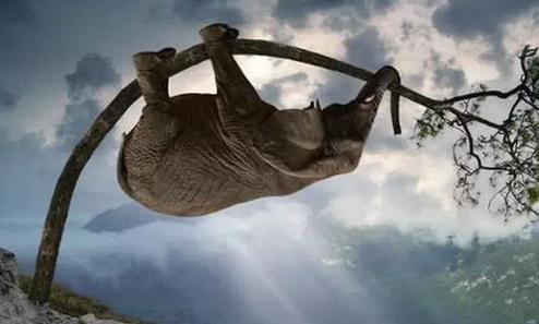 励志又成熟的男生网名,正能量满满