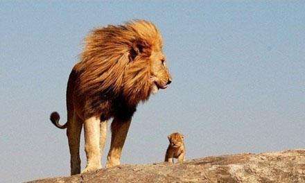 精辟好听有内涵的网名，剧情再美,终究是戏