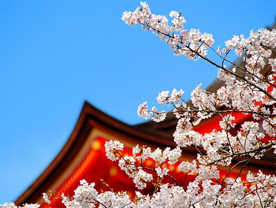 清新脱俗的网名